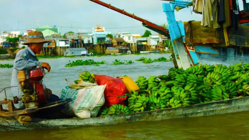 A Trip to a Vietnamese Floating Market